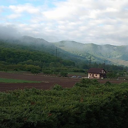 Vila Gosen Sard 外观 照片